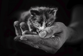 ПОДАРИТЬ ТЕПЛО И ЗАБОТУ