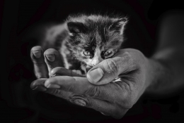 ПОДАРИТЬ ТЕПЛО И ЗАБОТУ