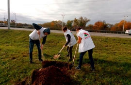 Фрунзенская районная организация г.Минска РОО &laquo;Белая Русь&raquo; приняла участие в Акции  &laquo;Белая Русь&raquo; украшает Беларусь!&raquo;