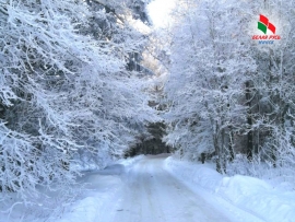 В чём секрет неповторимого зимнего очарования?