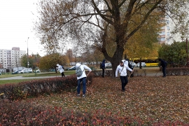 Акция &laquo;Белая Русь&raquo; украшает Беларусь!&raquo; во Фрунзенском районе столицы