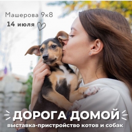 &laquo;Дорога домой&raquo;