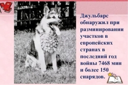 Легендарная овчарка