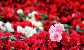 Афганистан, ты наша боль и наша горечь